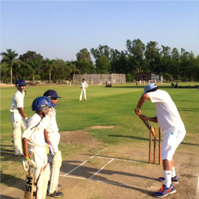 Cricket
